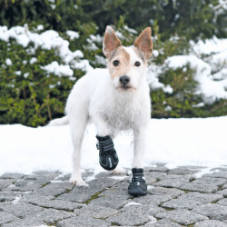 Walker Botas protectoras activas, tamanho: S-M para cães. AP-TR-19462 Bota e meia
