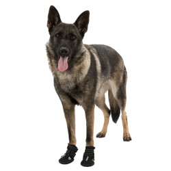 animallparadise Walker Active protective boots, size: L for dogs. Boot and sock