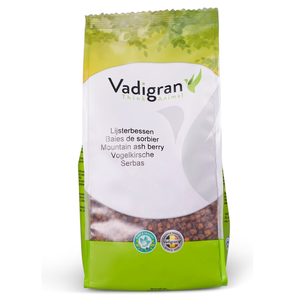 VA-261010 Vadigran Semillas para AVIARES baya de serbal 0.500Kg Alimentos para semillas