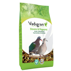 Vadigran Seeds for BIRDS turtle-doves and doves 1Kg Nourriture graine