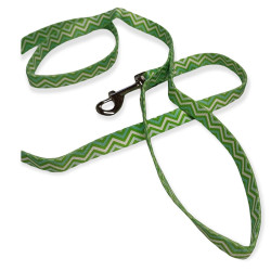 animallparadise Nylon leash for puppy, PUPPY PIXIE length 1,20 m green. dog leash