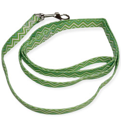 animallparadise Nylon leash for puppy, PUPPY PIXIE length 1,20 m green. dog leash