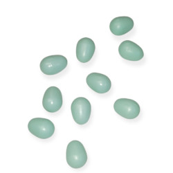 animallparadise 10 artificial plastic eggs for canary Accessory