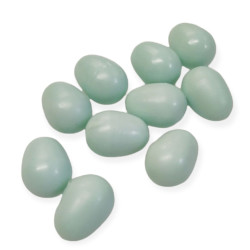 animallparadise 10 artificial plastic eggs for canary Accessory