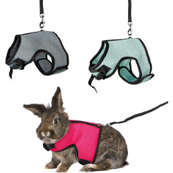 animallparadise Soft harness with leash 1.2 m for dwarf rabbits random color Collars, leashes, harnesses