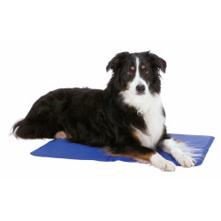 animallparadise 90 x 50 cm Cooling mattress for dogs Cooling mat