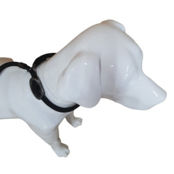 Aiden anti-trekriem, zwart ø12 mm L170 cm, voor honden animallparadise AP-FL-521306 hondenriem