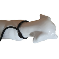 animallparadise Aiden anti-pull leash, black ø12 mm L170 cm, for dog dog leash