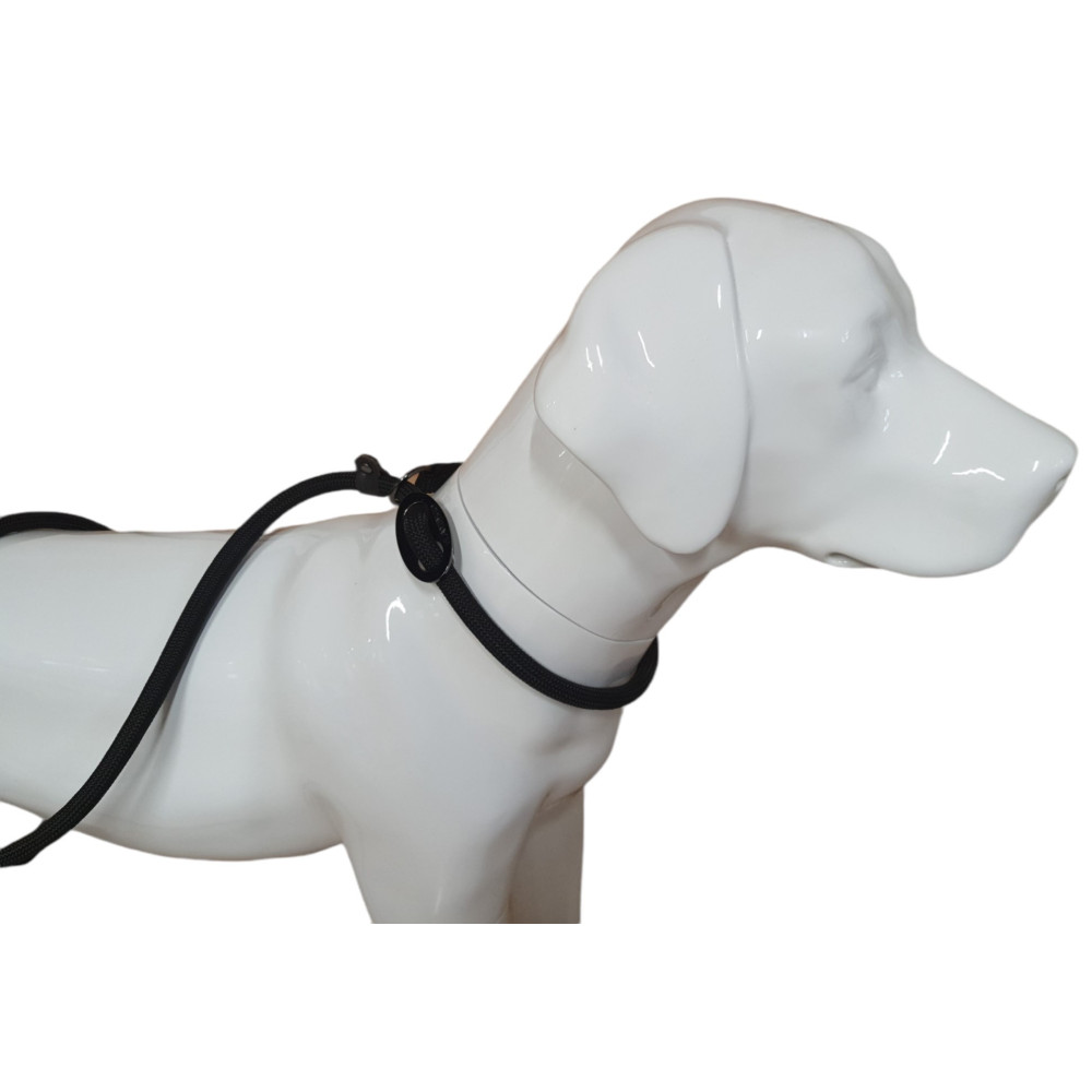 animallparadise Aiden Anti-Zug-Leine, schwarz ø12 mm L170 cm, für Hunde AP-FL-521306 hundeleine