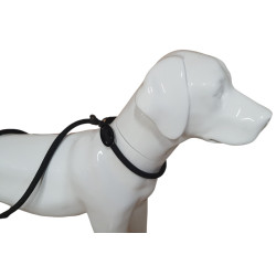 animallparadise Aiden anti-pull leash, black ø12 mm L130 cm, for dog dog leash