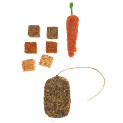 animallparadise Trio friandises botte herbe, carotte, biscuit aux légumes, rongeur Snacks et complément