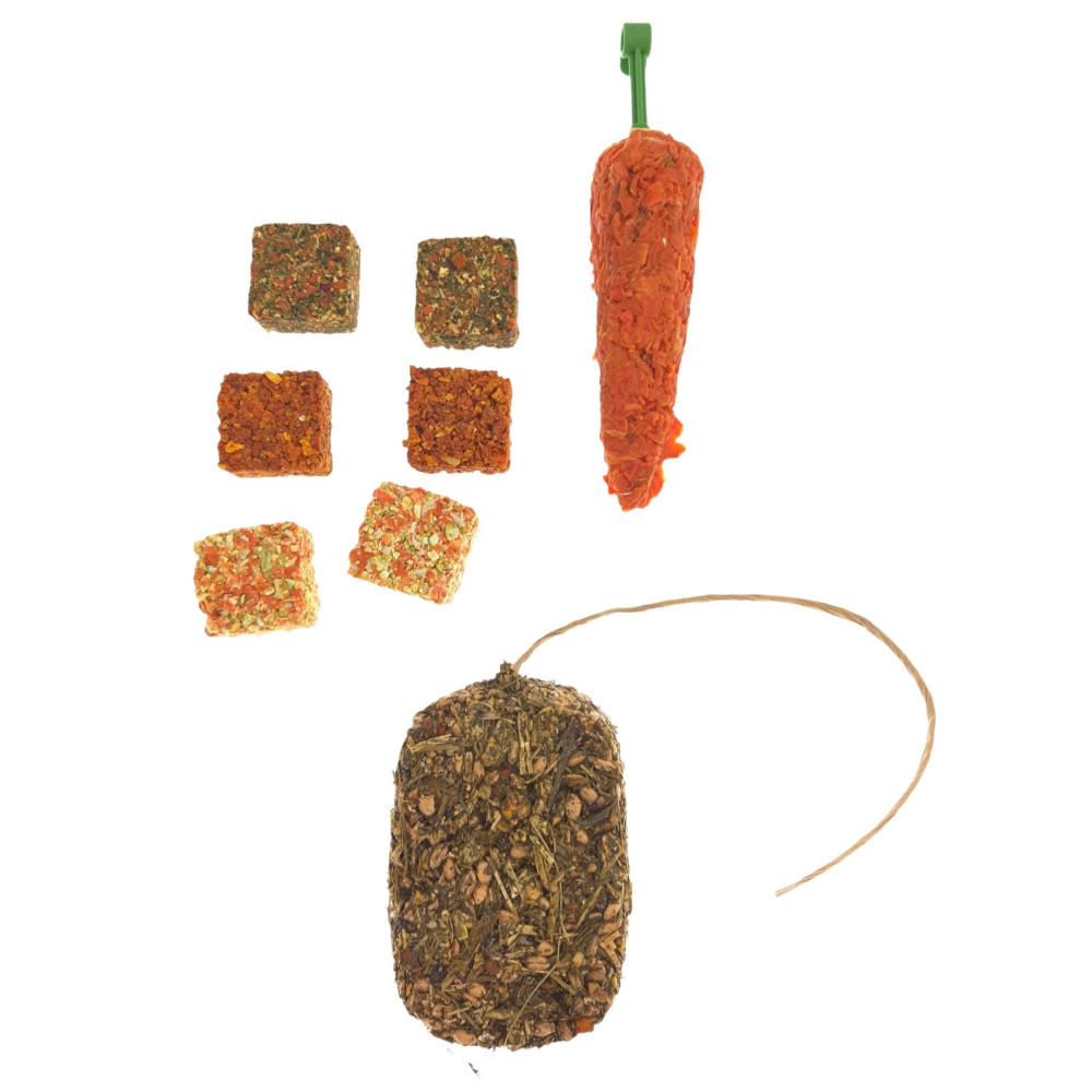 Trio smakołyków: trawa, marchewka, ciastko warzywne, gryzoń AP-FL-210349-351-354 animallparadise