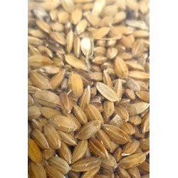 animallparadise Paddy rice 800 g, seed for cages and aviaries Nourriture graine