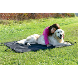 animallparadise Self-adjusting car protection blanket for dogs Car fitting