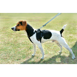 animallparadise Safety harness size S for dogs in cars Transport