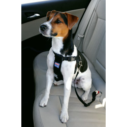 Veiligheidstuigje maat S voor honden in de auto animallparadise AP-ZO-403320 Auto montage