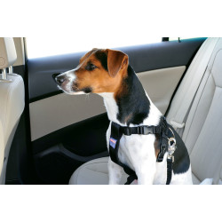 Veiligheidstuigje maat S voor honden in de auto animallparadise AP-ZO-403320 Auto montage