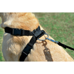 animallparadise Safety harness size L for dogs in cars Car fitting