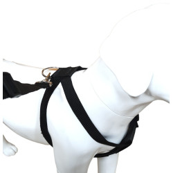 animallparadise Safety harness size M for dog in car Transport