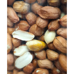 animallparadise Peeled peanut seeds 900 g, for your birds Nourriture graine