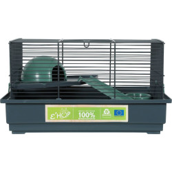 animallparadise Cage 40 souris, 39 x 26 x hauteur 22 cm, verte pour souris Cage