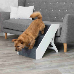 animallparadise copy of Stairs for cats and dogs. Ramps and stairs