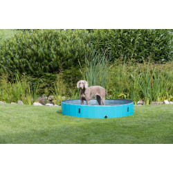 Hondenzwembad, Afmetingen ø 160 × 30 cm animallparadise AP-TR-39483 Hondenzwembad