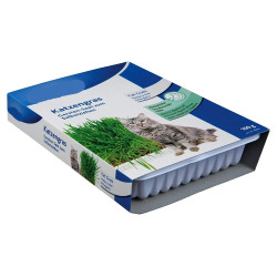 animallparadise Herbe à chat, barquette de 100g Herbe a chat
