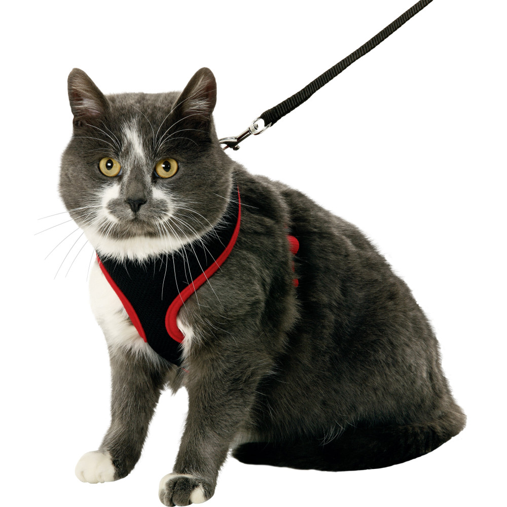animallparadise Pettorina per gattini, nera e rossa, taglia S, regolabile AP-FL-1031371 Imbracatura