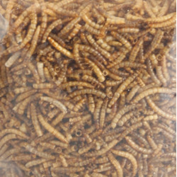 PickNick minhocas de refeição secas 540g balde para aves AP-FL-2010013 alimentos para insectos