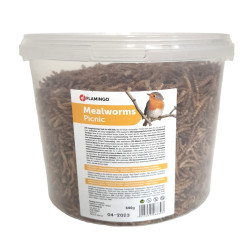 PickNick gedroogde meelwormen 540g emmer voor vogels animallparadise AP-FL-2010013 insectenvoedsel