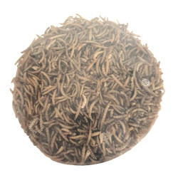animallparadise PickNick dried mealworms 540 g bucket for birds insect food