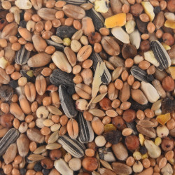 animallparadise Mélange de graines toutes saisons pour oiseaux sac de 1 kg Nourriture graine