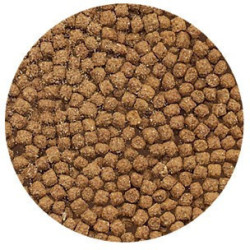 Volledig diervoeder voor cichliden 500 ml 280 g siervissen animallparadise AP-FL-404023 Voedsel