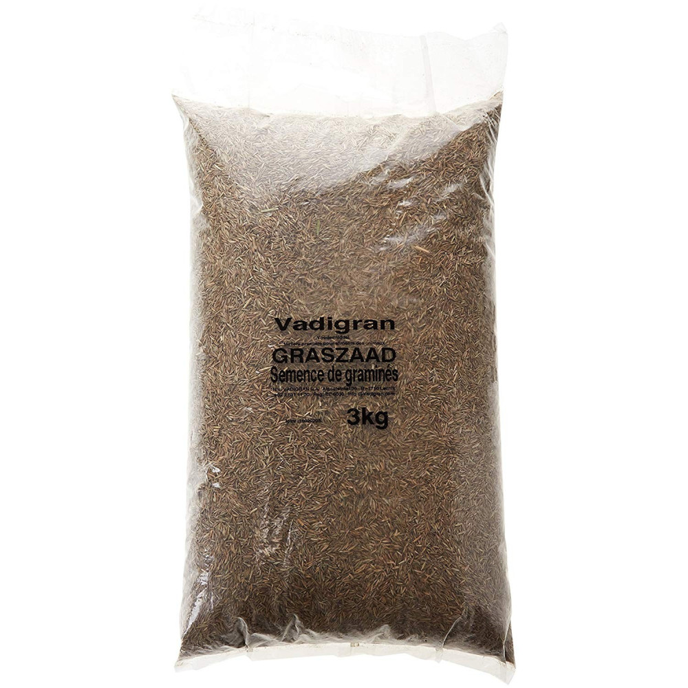 Sementes para BIRDS sementes de grama 3Kg VA-313050 Alimentação