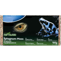 animallparadise Sphaigne mousse de shagnum 100 g 4.5 Litres reptile Substrats