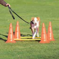 animallparadise Dog obstacle set - 4 cones - agility Agility dog