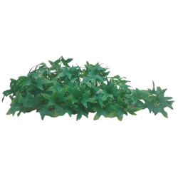 animallparadise Plantes décorative imitation Lierre du congo d'environ 36 cm Décoration et autre