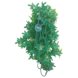 animallparadise Plantes décorative imitation Lierre du congo d'environ 36 cm Décoration et autre