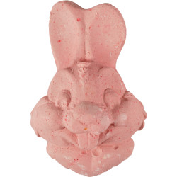 animallparadise Rabbit gnawing stone 80 g for rodents Snacks and supplements