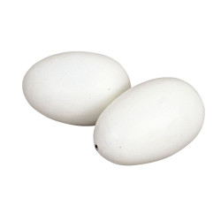 animallparadise satz von 2 Ei-Attrappen aus Ton für Hühner, Farbe weiß AP-KE-73004 Zubehör