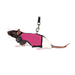 animallparadise Pettorina morbida con guinzaglio 1,2 m , per ratti colore casuale AP-TR-61511 Collari, guinzagli, imbracature