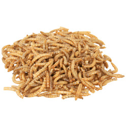 TR-76391 Trixie Larvas de gusano de la harina seca 70 GR Alimentos