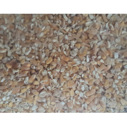 Maïs, gekraakt 20 kg voor voederdoeleinden Gasco GA-100151-30 Voedsel