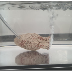 animallparadise 10 cm jug bubbler for aquarium air stone