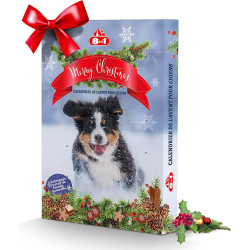 8in1 Calendrier de l'Avent Noël pour Chien 8in1 Friandise chien