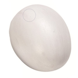 Sztuczne plastikowe jajko kurze dla drobiu AP-FL-100951 animallparadise