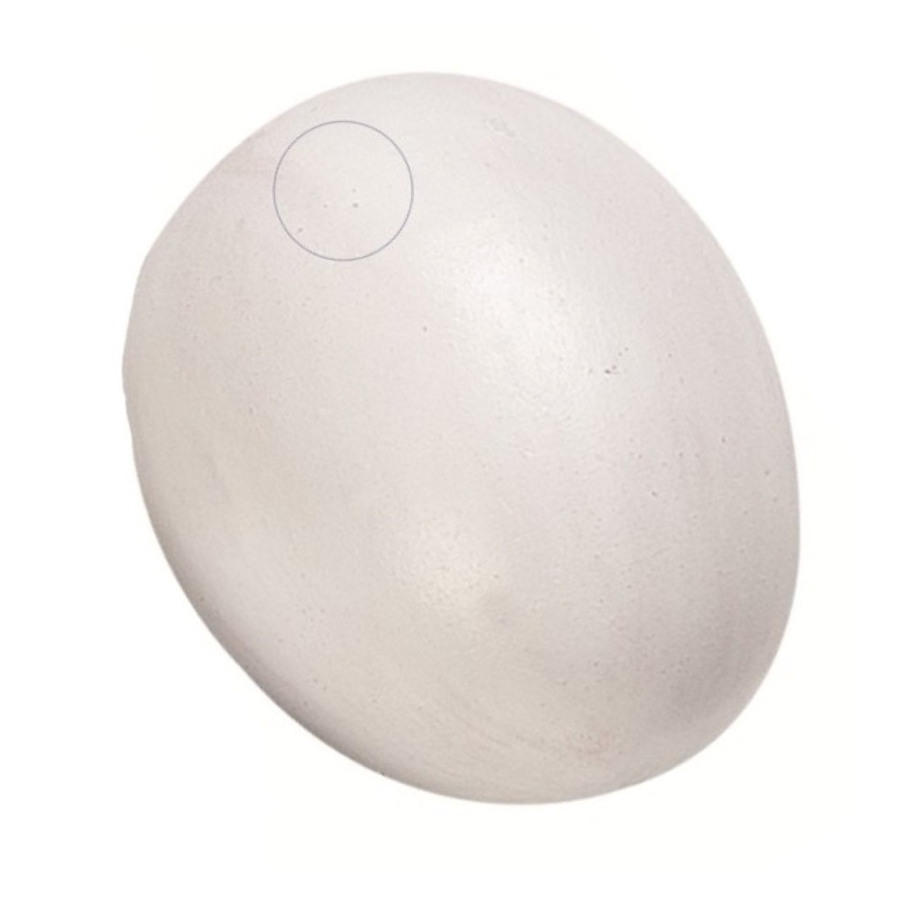 AP-FL-100951 animallparadise Un falso huevo de gallina de plástico para aves de corral Accesorio