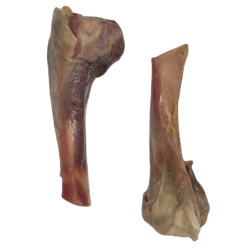zolux Zwei Schinkenknochen für Hunde. Mindestens 460 g. ZO-482616 Echter Knochen