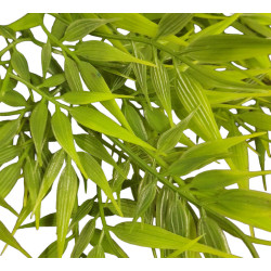 Plastic plant met bamboe bladeren van ongeveer 46 cm. animallparadise AP-ZO-387729 Decoratie en andere